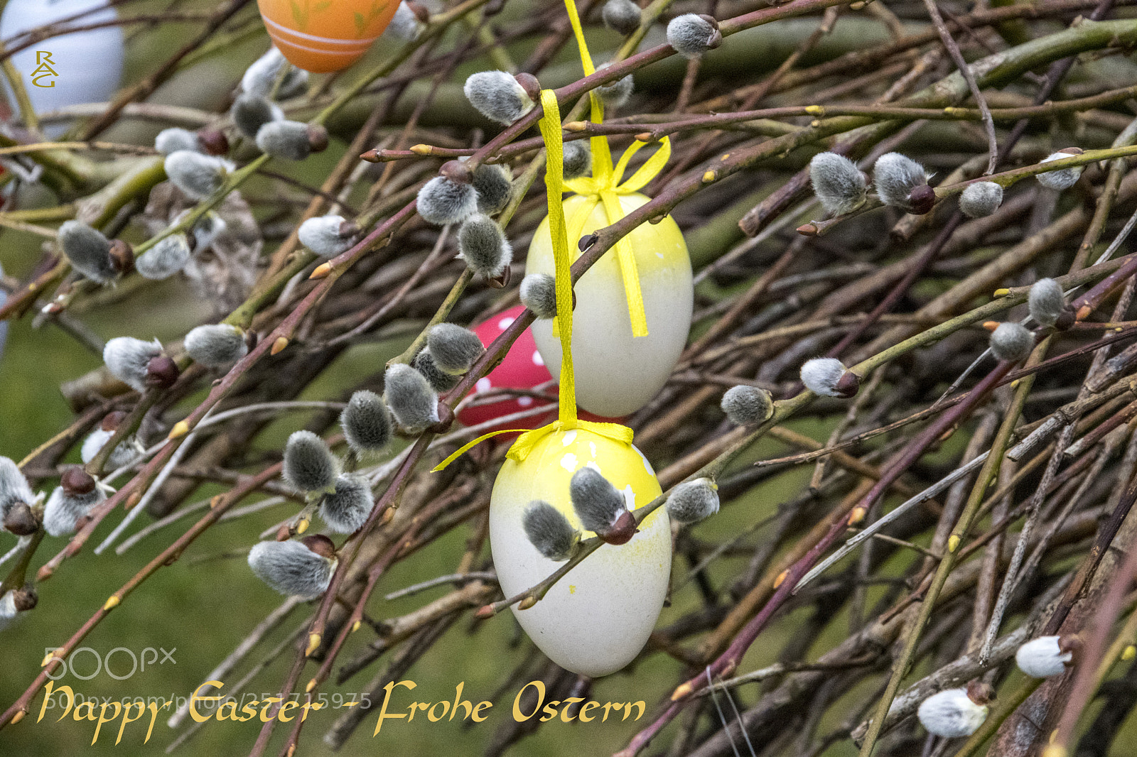 Nikon D3300 sample photo. Happy easter - frohe photography