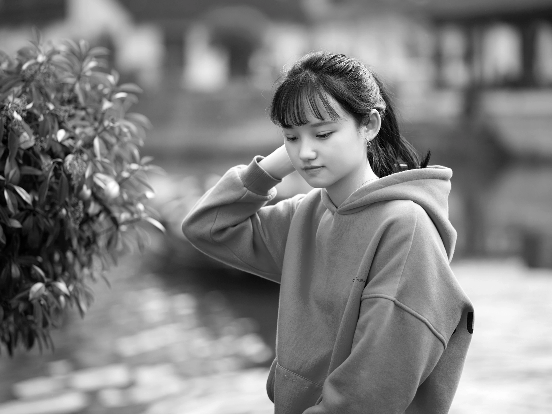 Hasselblad H3D sample photo