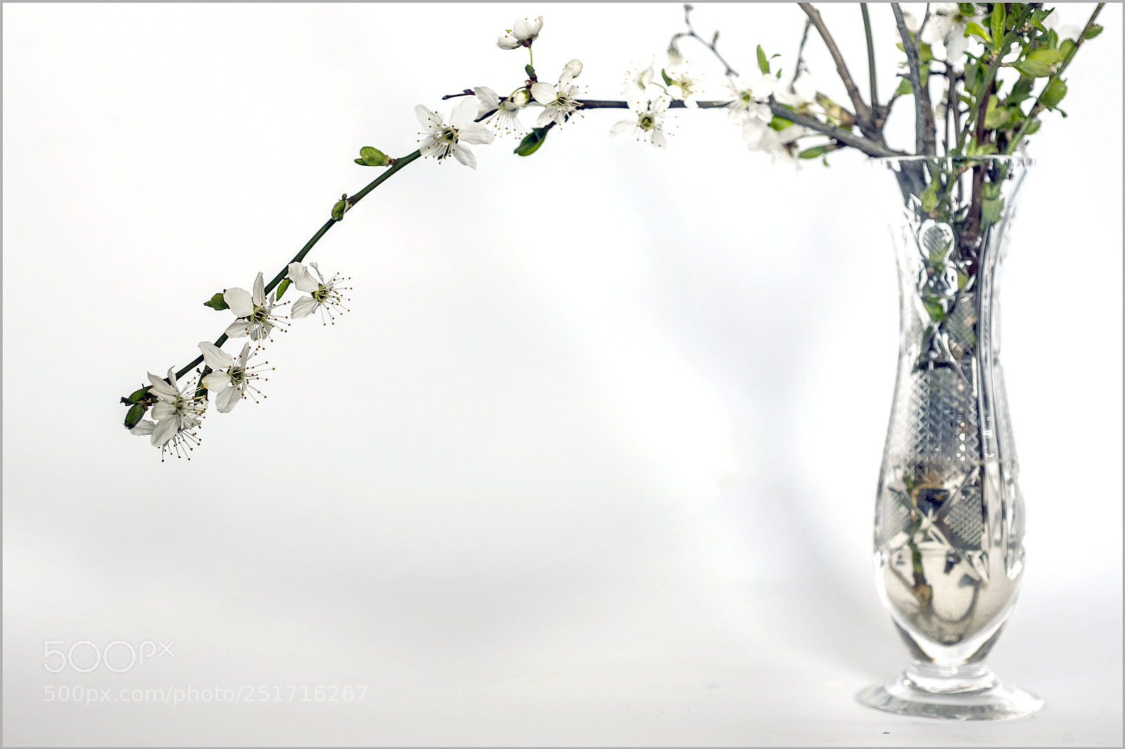 Nikon D700 sample photo. *** photography