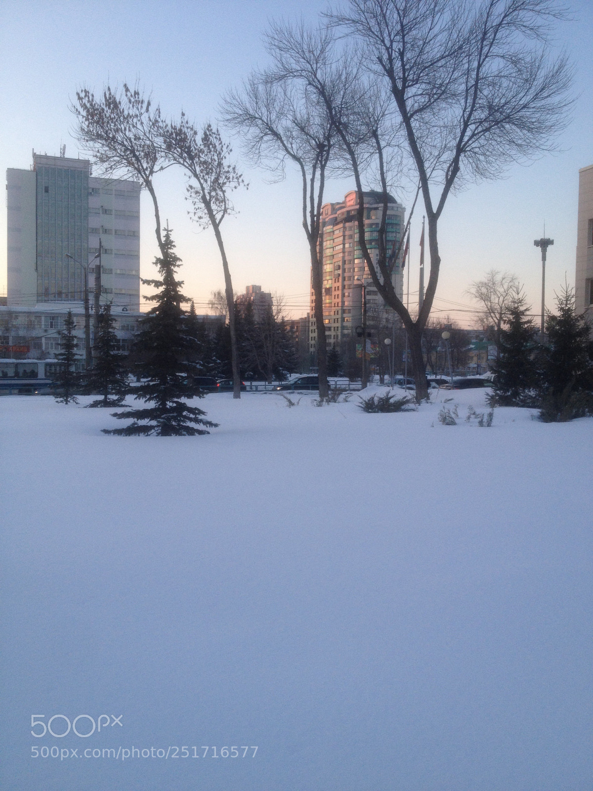 Apple iPhone 4S sample photo. Untitled photography