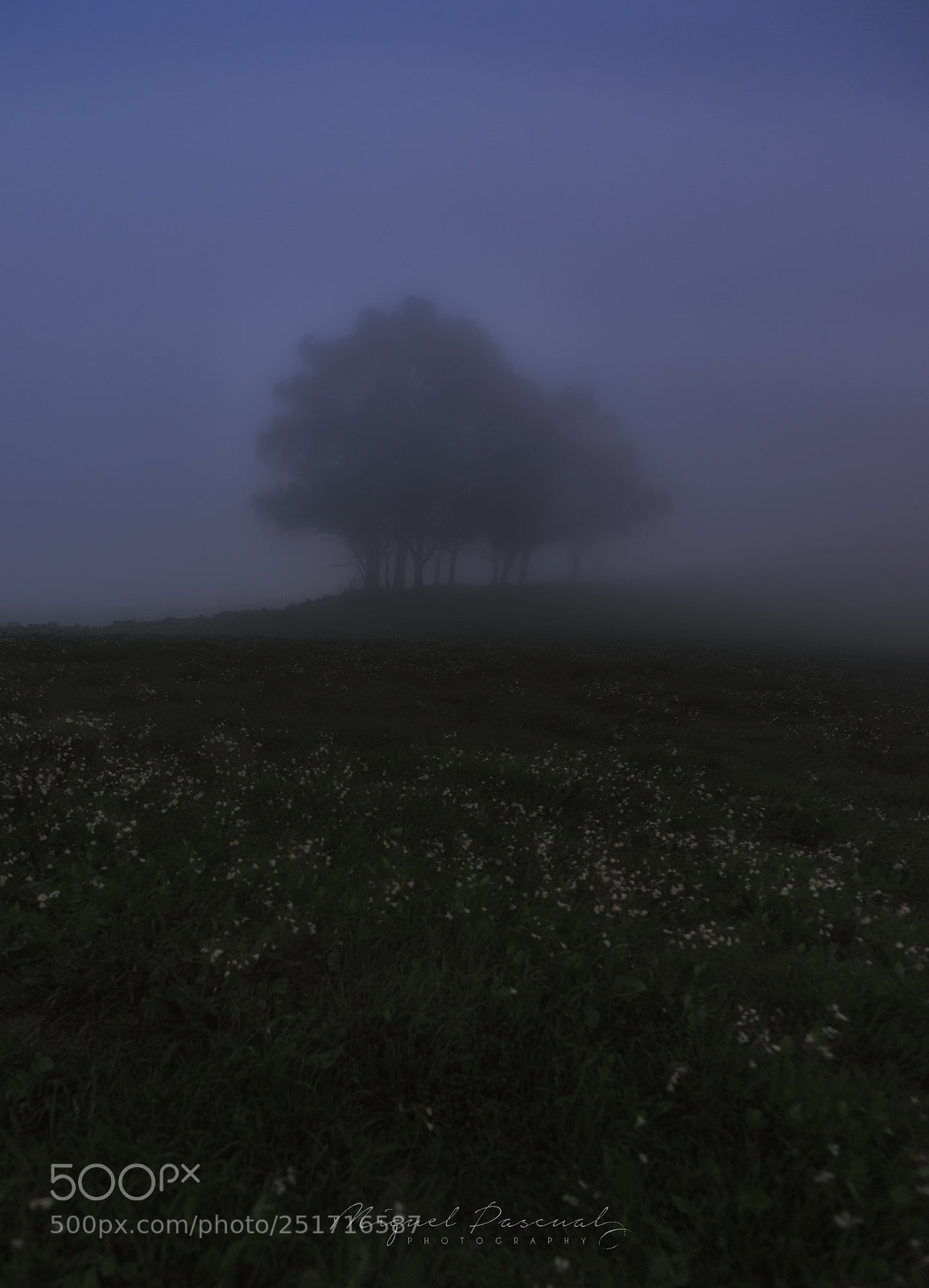 Nikon D810 sample photo. Mists.... photography