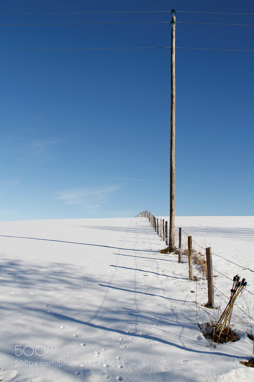 Canon EOS 7D sample photo. Endless snow photography