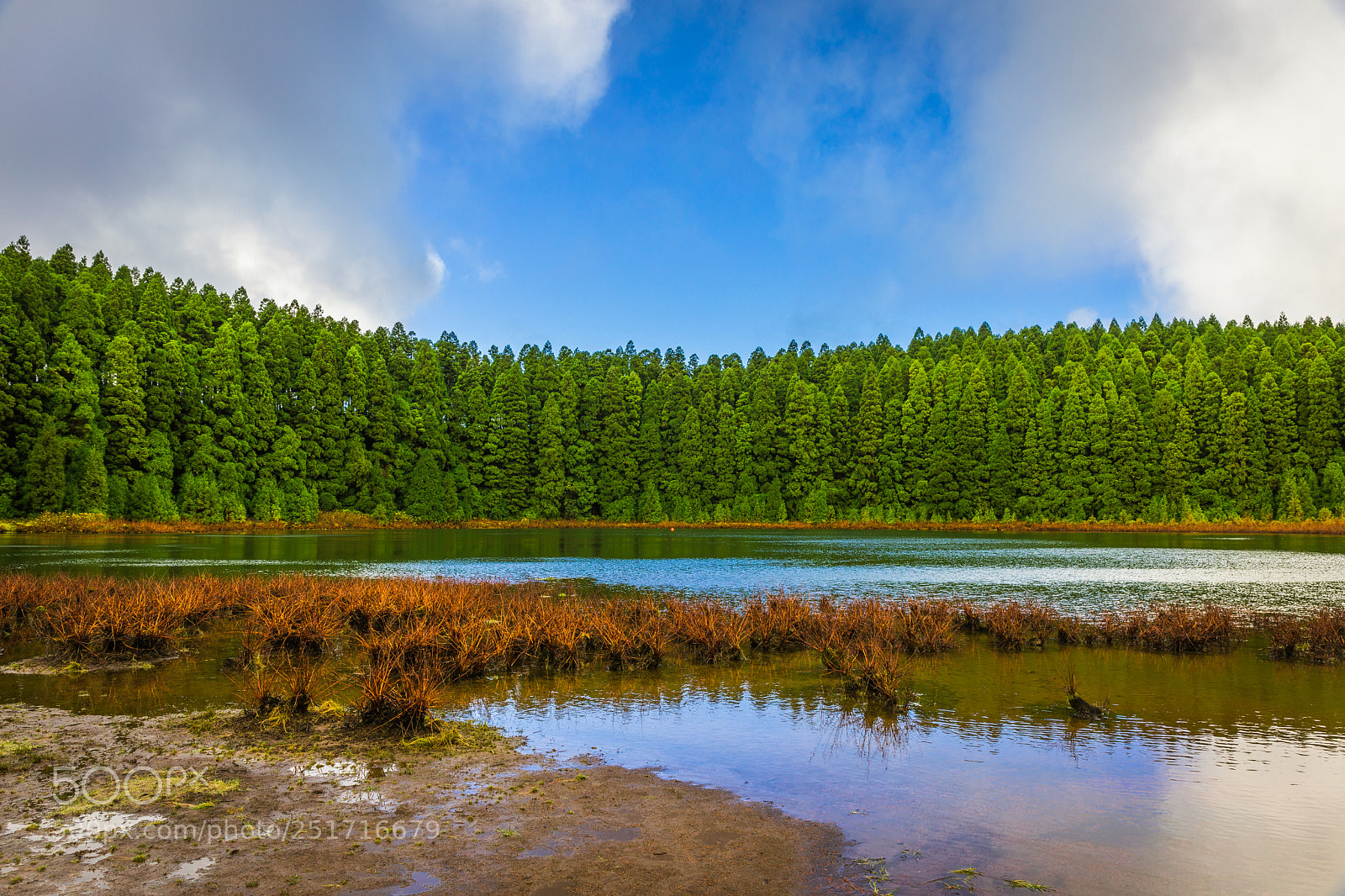 Canon EOS 5D Mark IV sample photo. Azores #4 photography