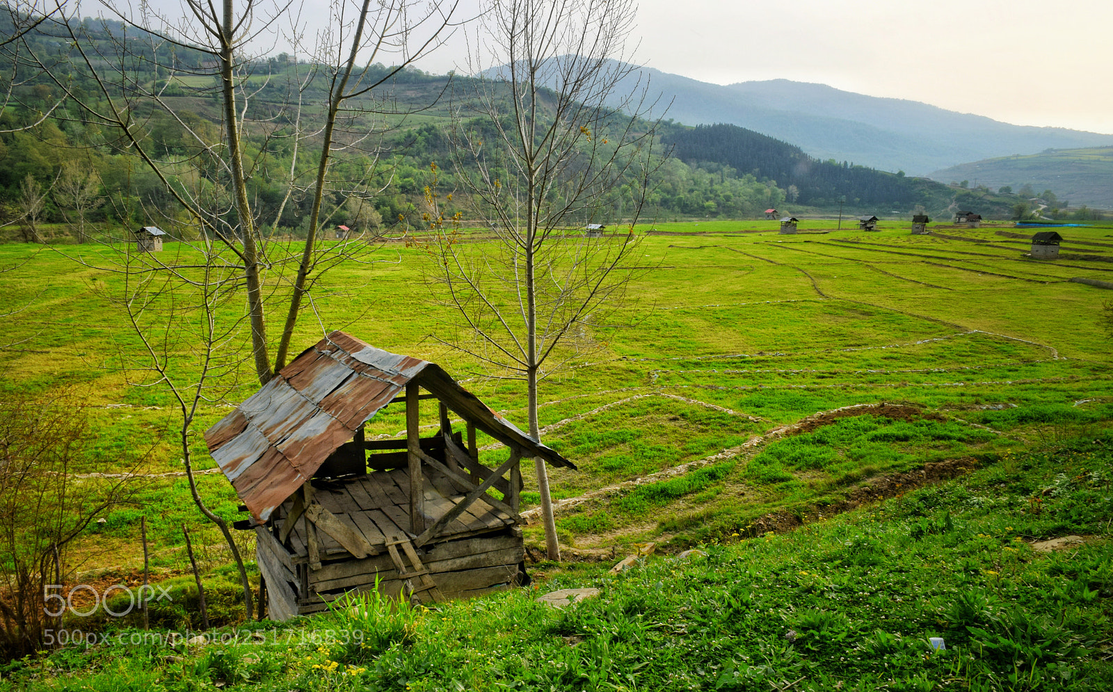 Nikon D5300 sample photo. Heaven photography