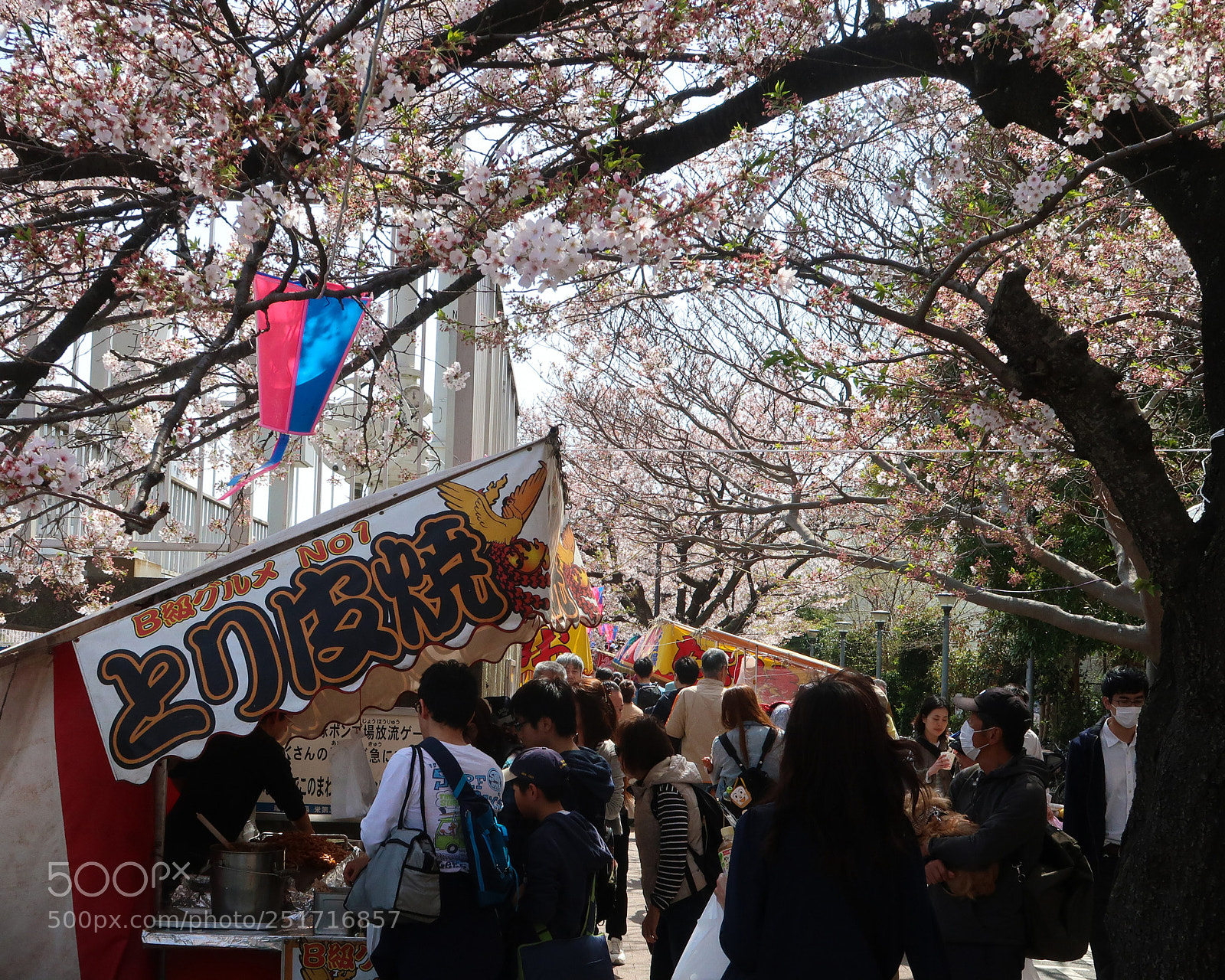 Canon PowerShot G7 X Mark II sample photo. The cherry blossoms picnic photography
