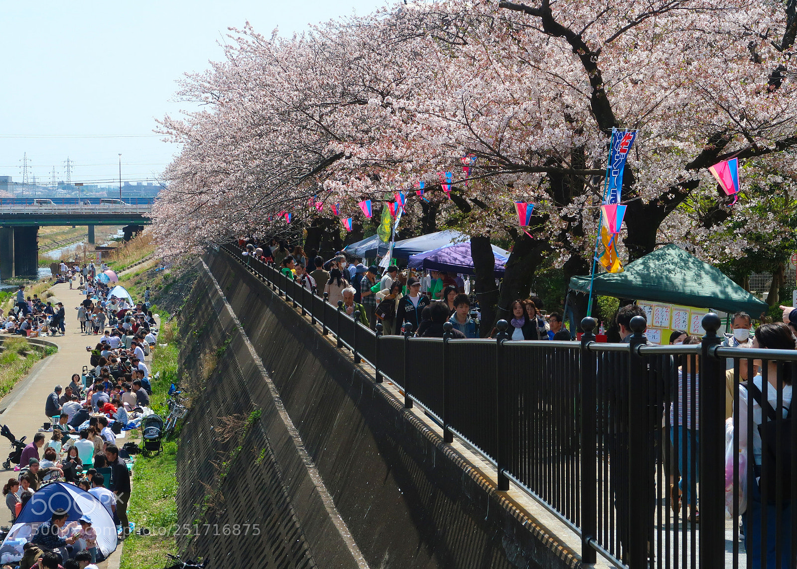 Canon PowerShot G7 X Mark II sample photo. The cherry blossoms picnic photography