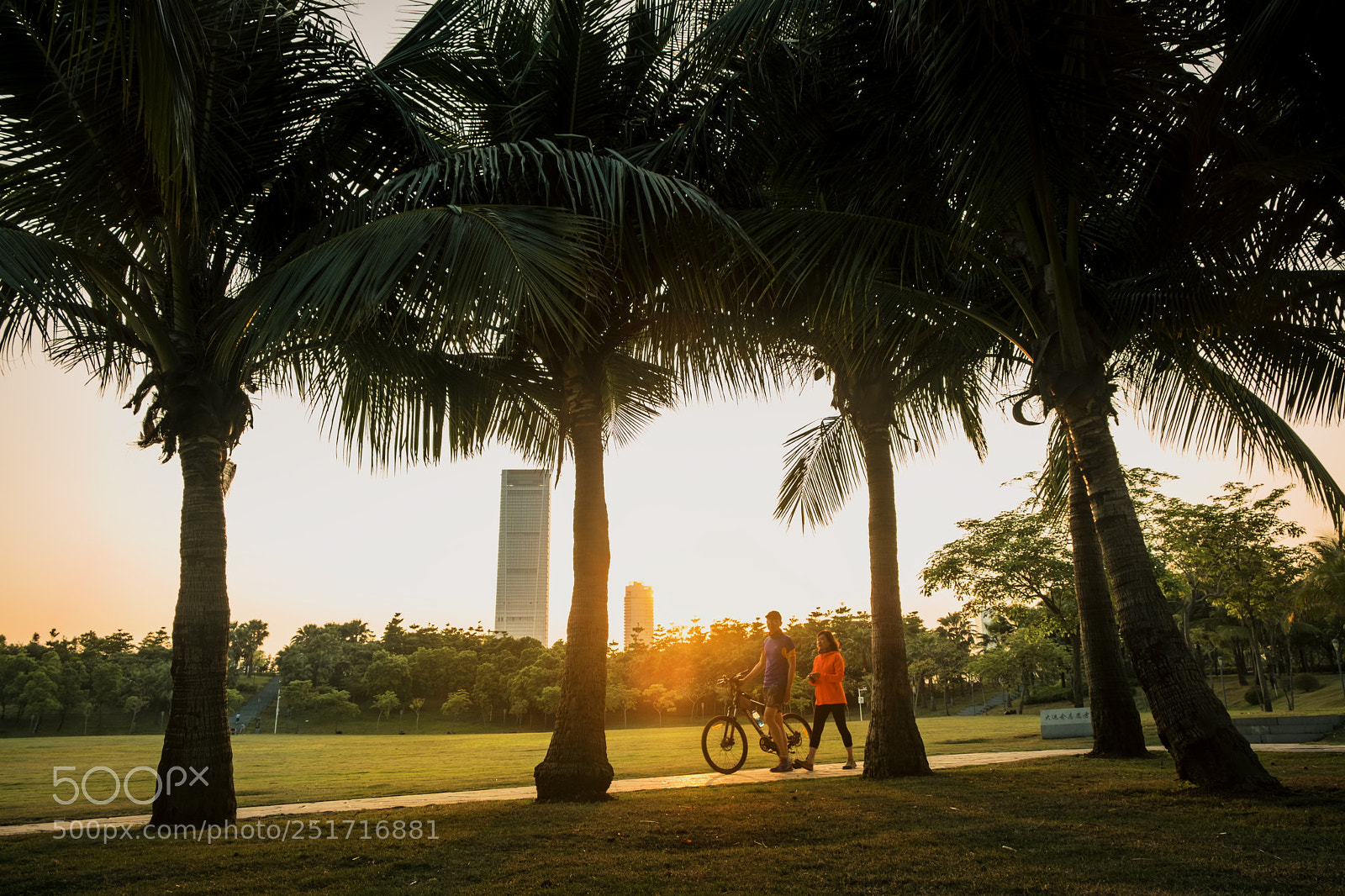 Fujifilm X-T2 sample photo. Sunny holiday photography