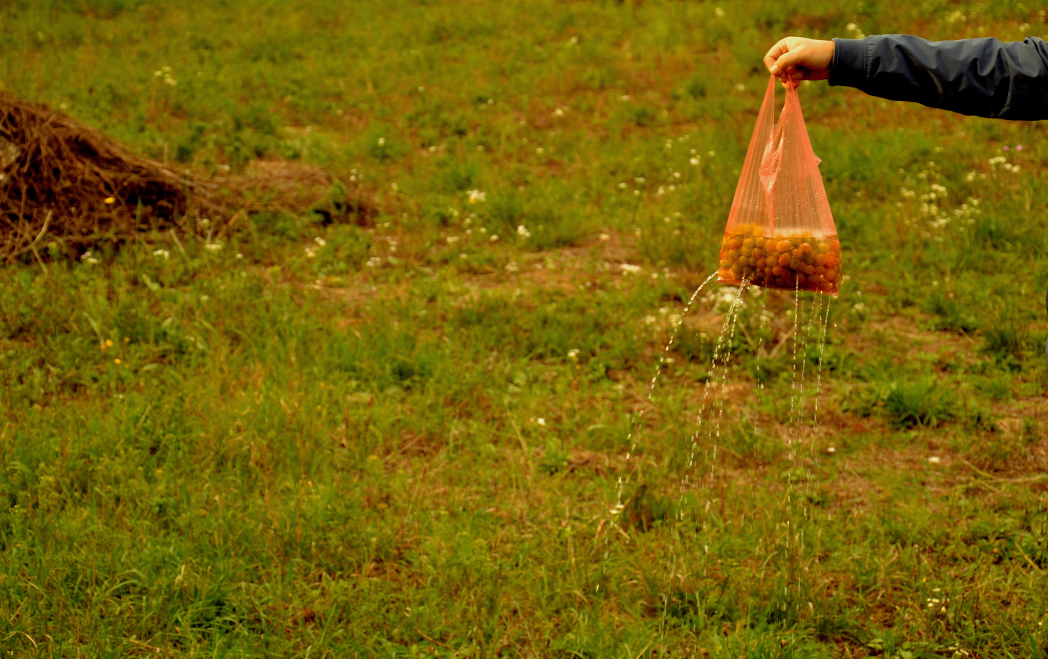 Nikon D3100 sample photo. One moment photography