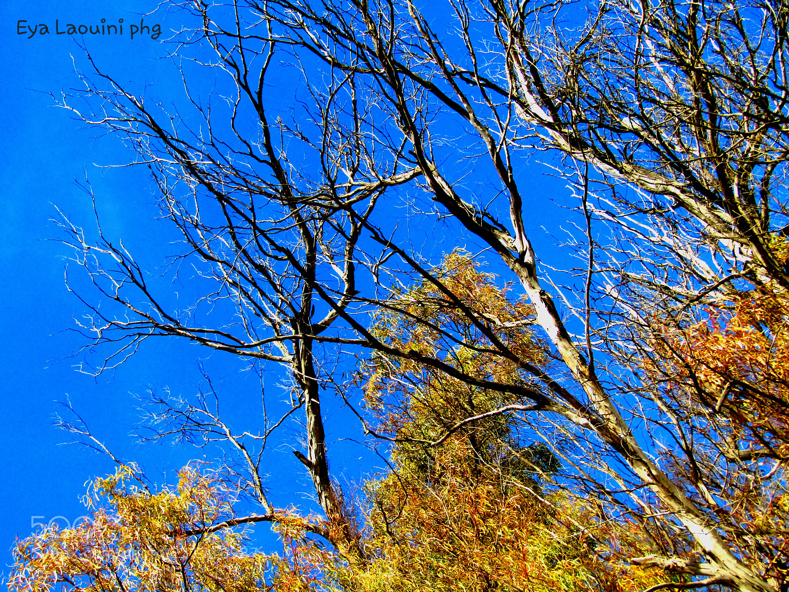 Canon PowerShot SX410 IS sample photo. Sky photography