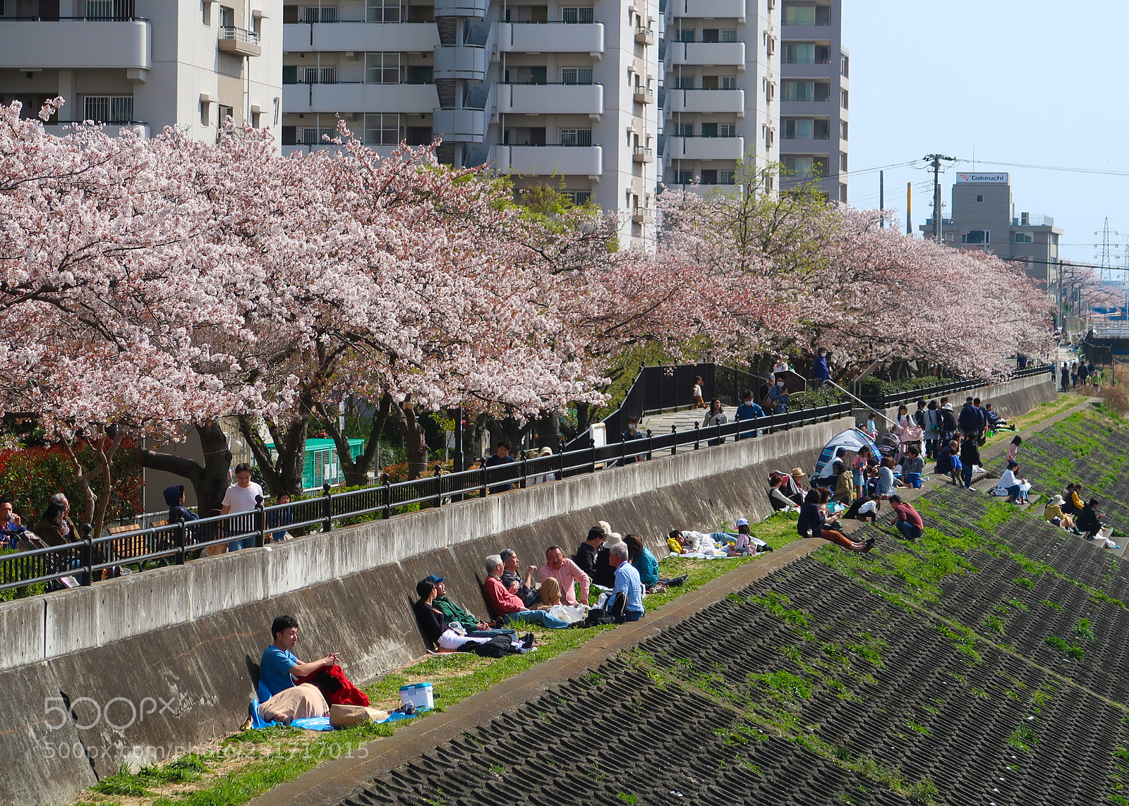 Canon PowerShot G7 X Mark II sample photo. The cherry blossoms picnic photography
