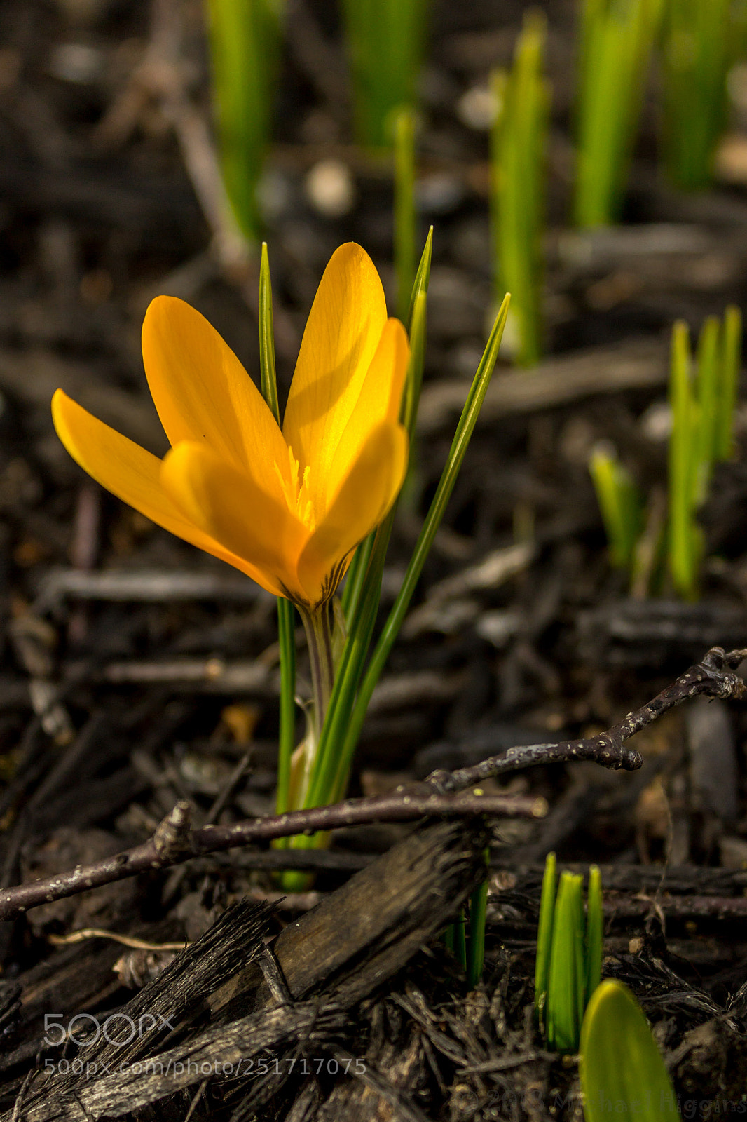 Canon EOS 1200D (EOS Rebel T5 / EOS Kiss X70 / EOS Hi) sample photo. He is risen photography