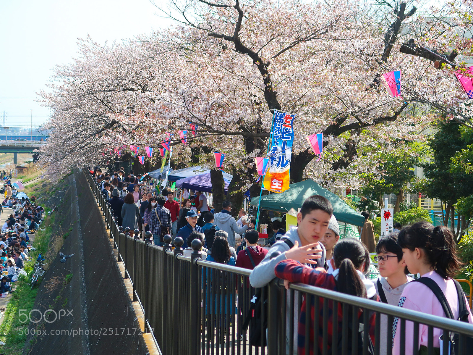 Canon PowerShot G7 X Mark II sample photo. The cherry blossoms picnic photography