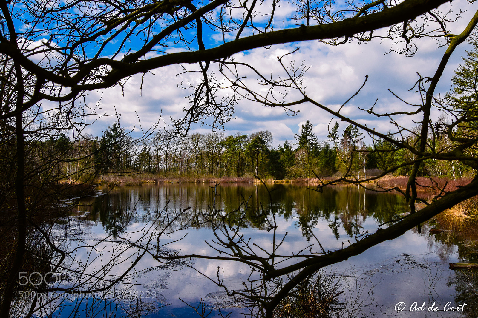 Nikon D5300 sample photo. Venrode, pond view photography