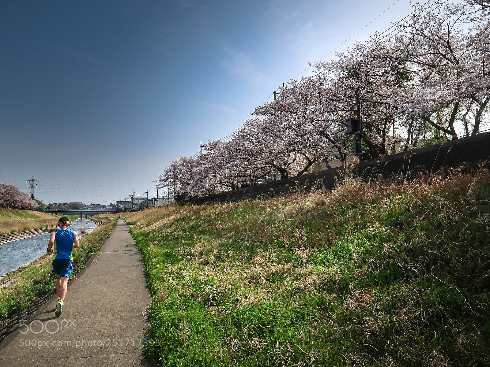 Canon PowerShot G7 X Mark II sample photo. The cherry blossoms picnic photography