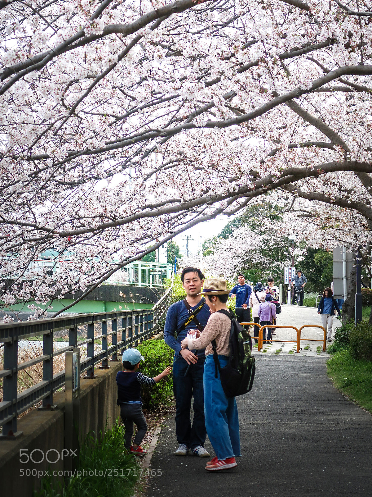 Canon PowerShot G7 X Mark II sample photo. The cherry blossoms picnic photography