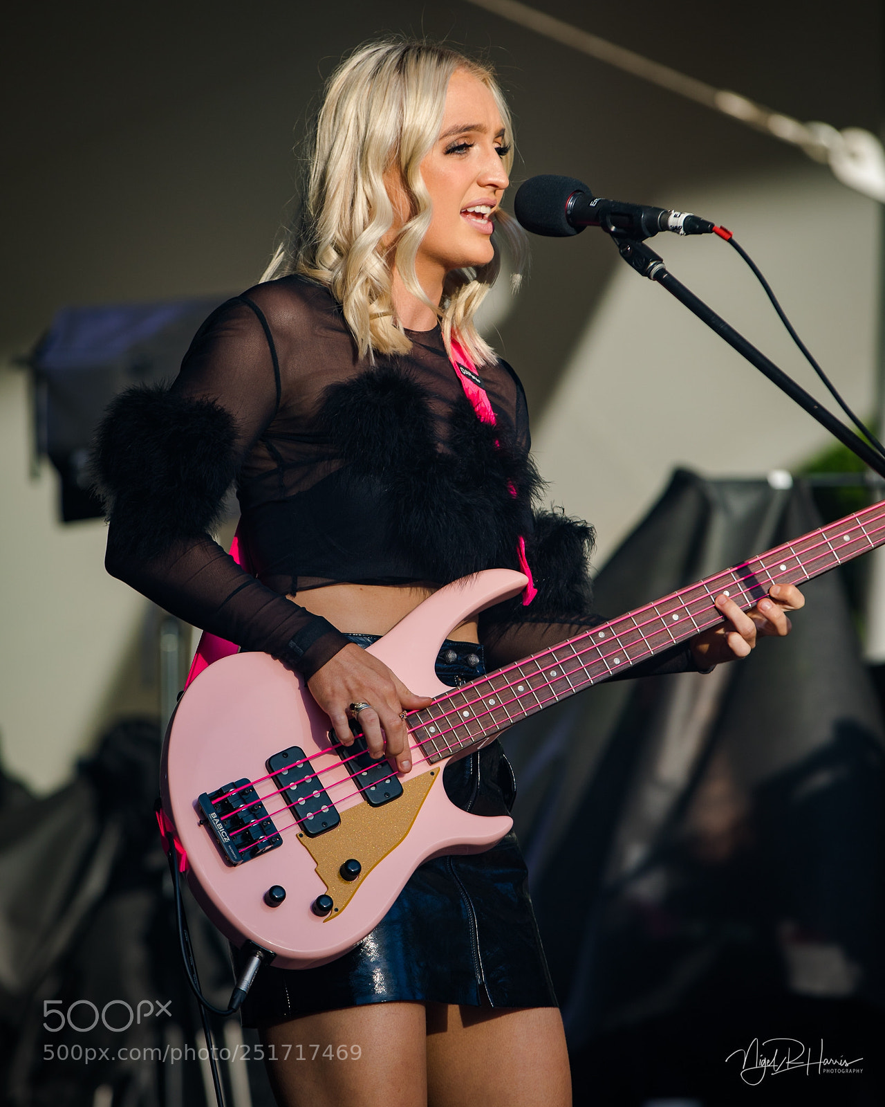 Canon EOS 5D Mark IV sample photo. Bass in pink photography