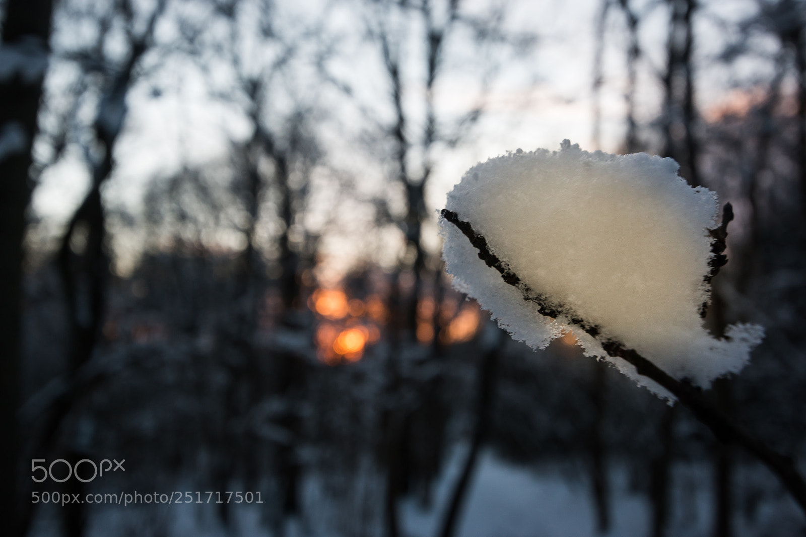Canon EOS 70D sample photo. Copo de nieve photography