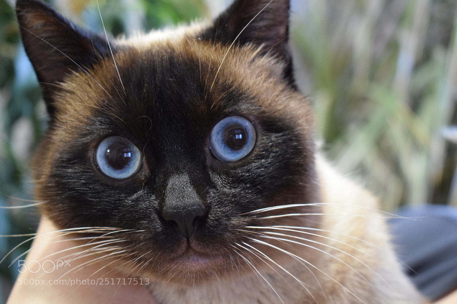 Nikon D5300 sample photo. Космос photography