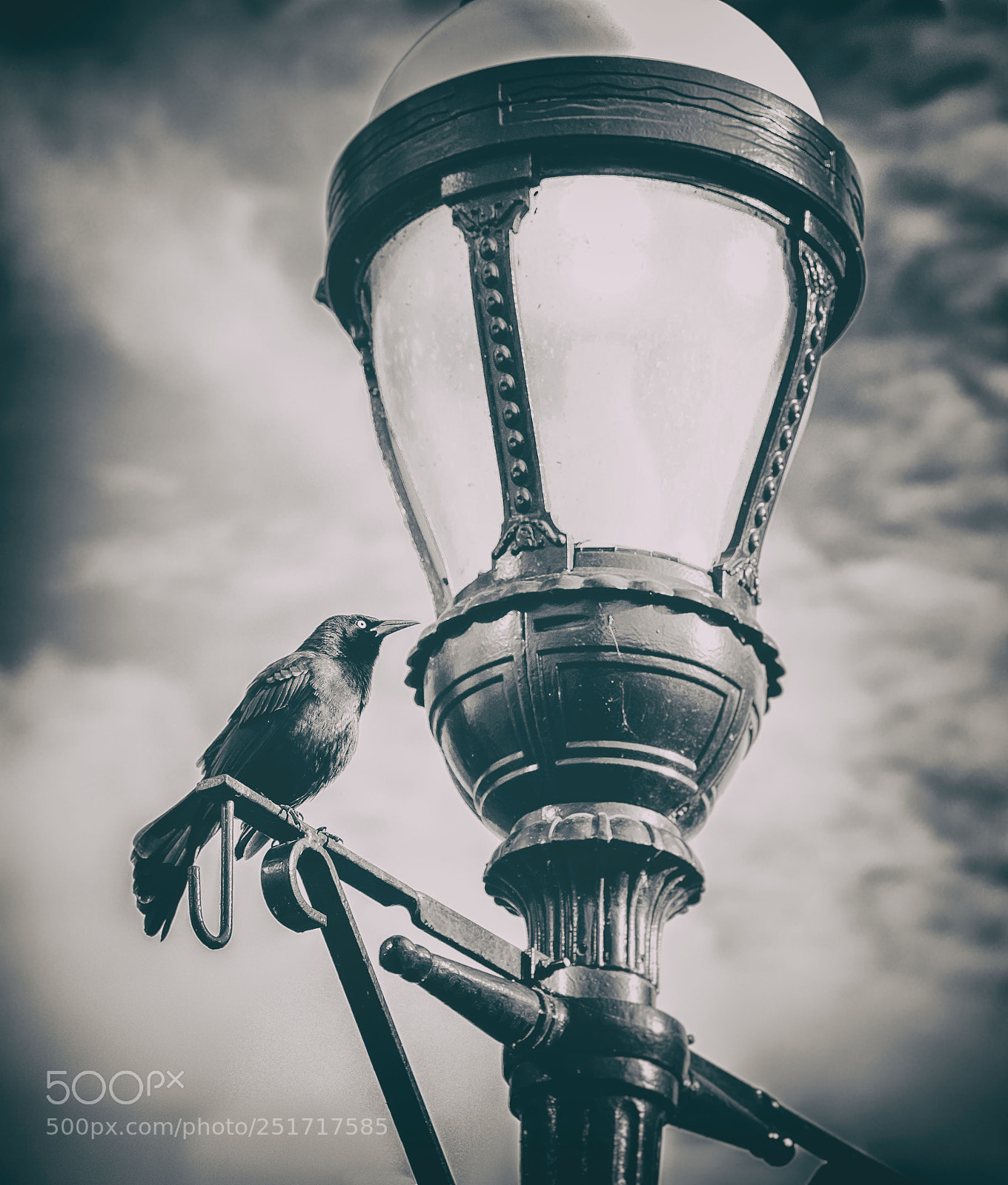 Canon EOS 5D Mark IV sample photo. So poe b photography