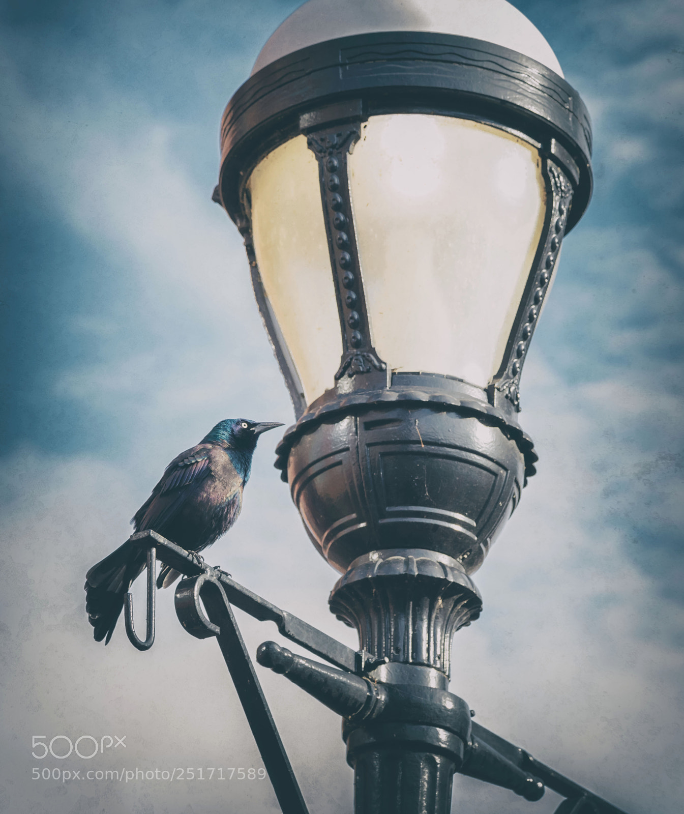 Canon EOS 5D Mark IV sample photo. So poe a photography