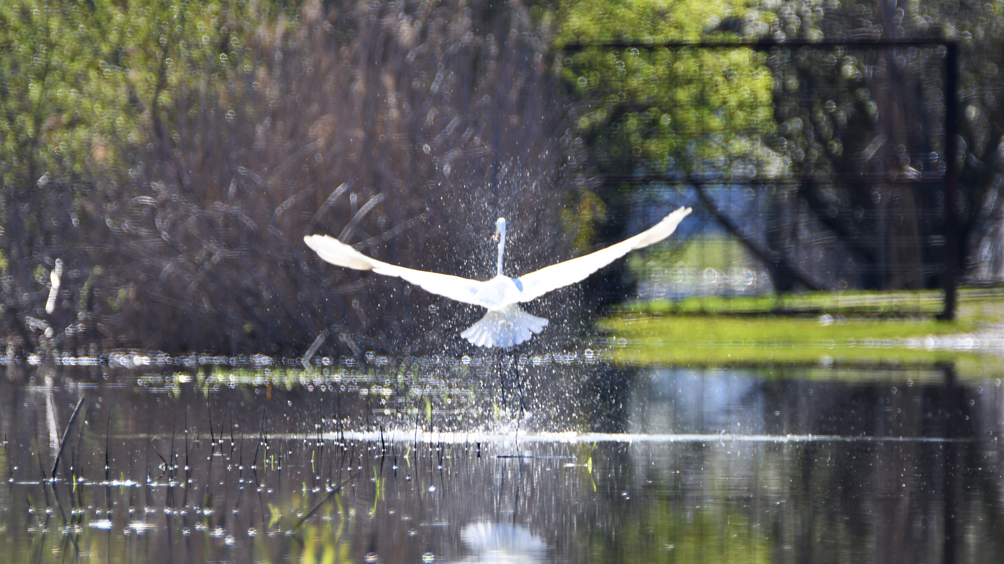 Nikon D7500 sample photo