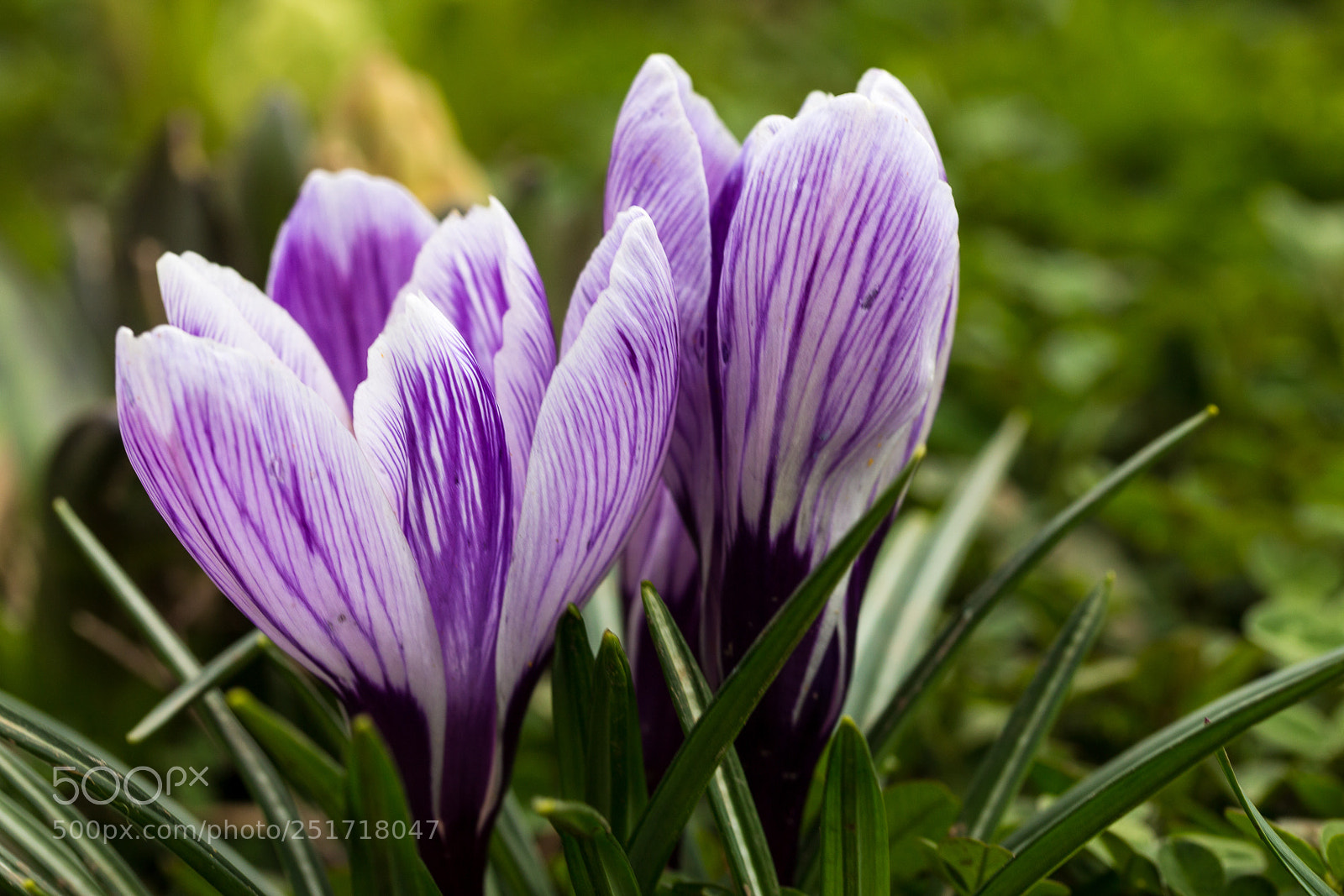 Canon EOS 70D sample photo. Untitled photography