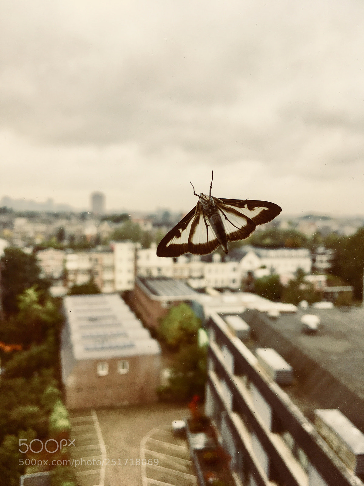 Apple iPhone SE sample photo. Untitled photography