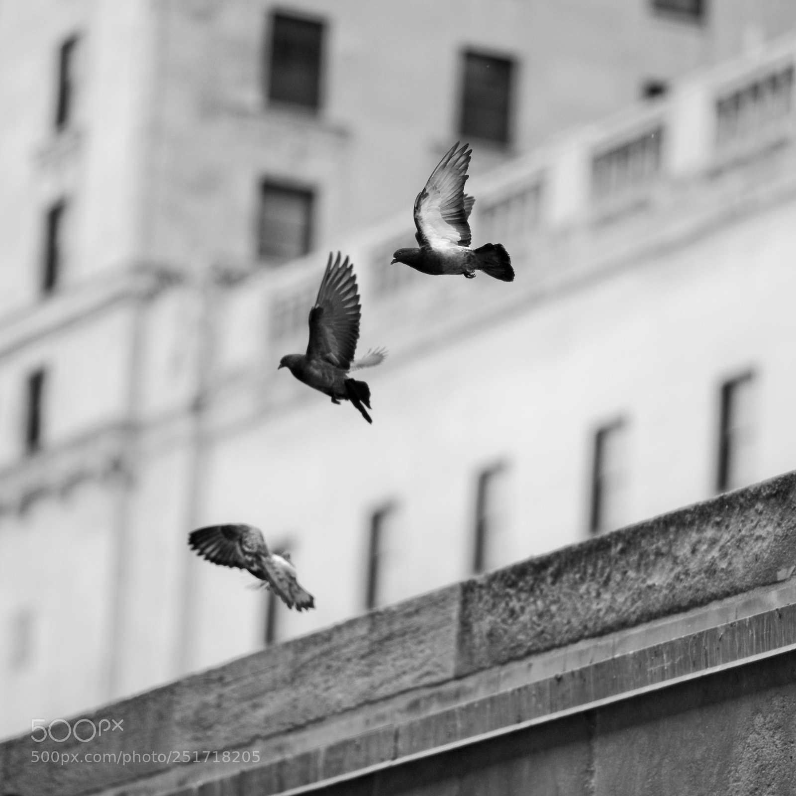 Nikon D600 sample photo. Above it all photography