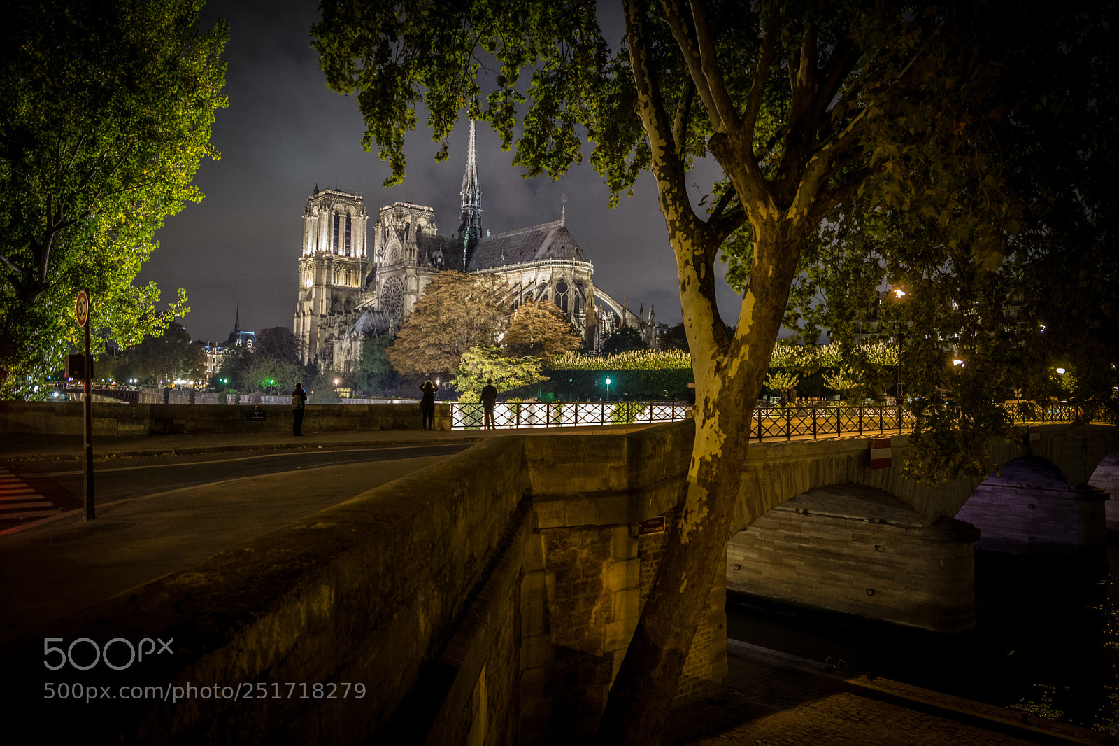 Nikon D7100 sample photo. Notre dame photography