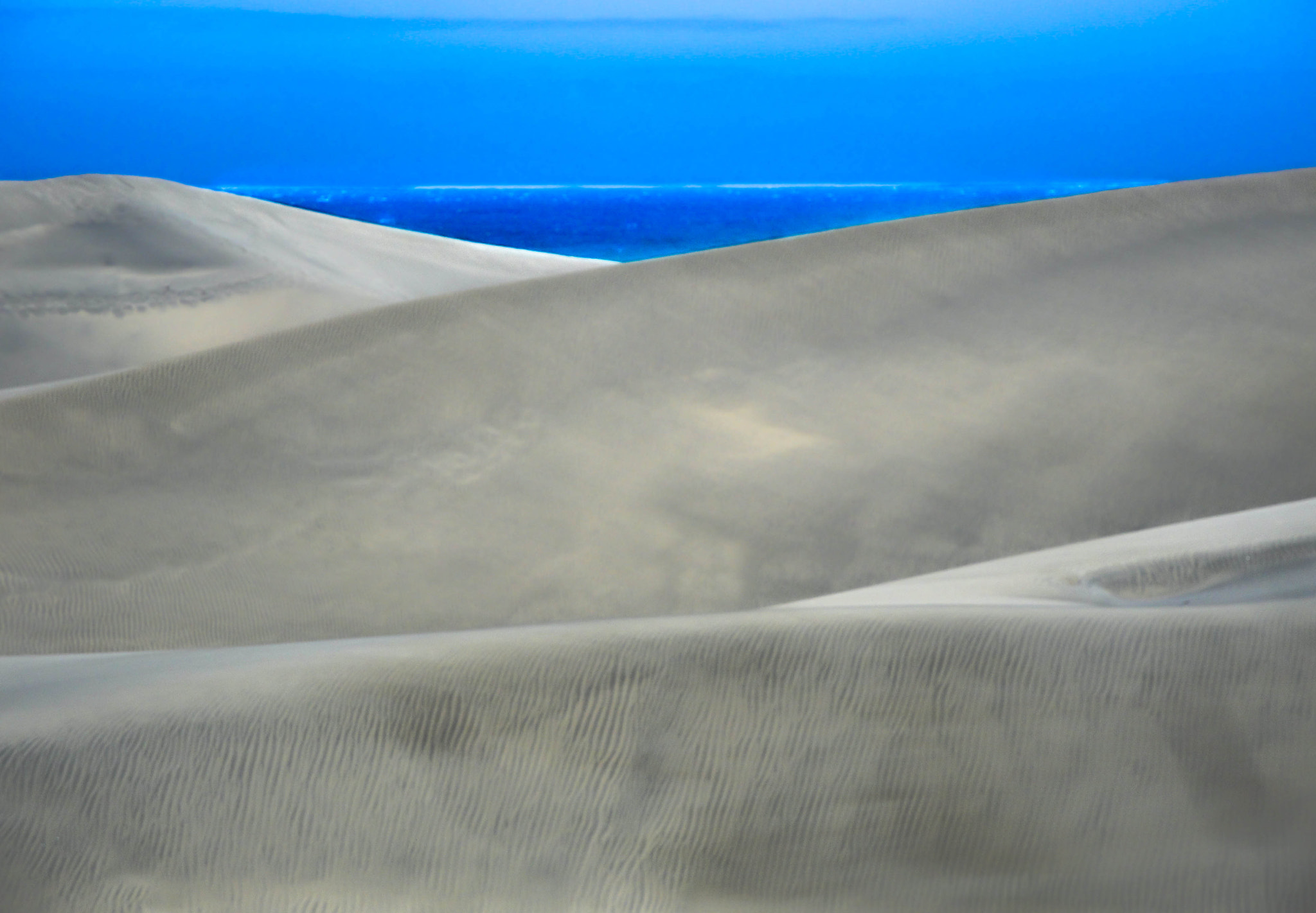 Sony DSC-W270 sample photo. Sea dunes along the shore photography