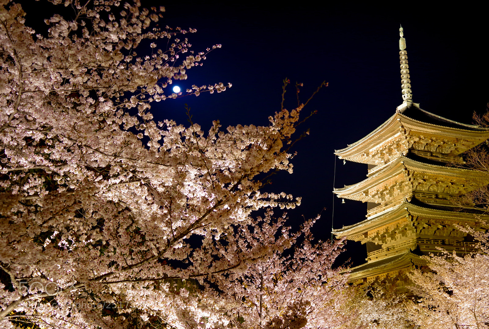 Pentax K-1 sample photo. 東寺 photography
