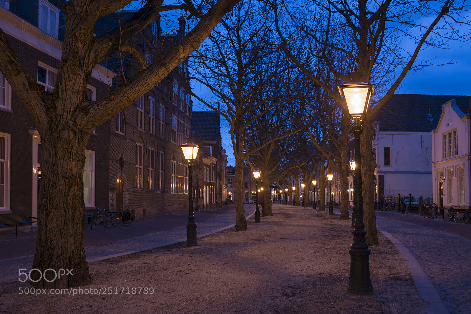 Sony a7R III sample photo. ~let it shine~ photography