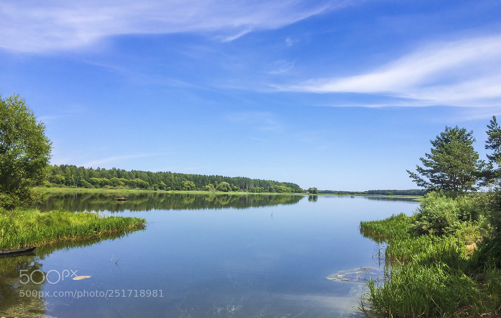 Apple iPhone 5s sample photo. Lake, tree, forest, nature photography