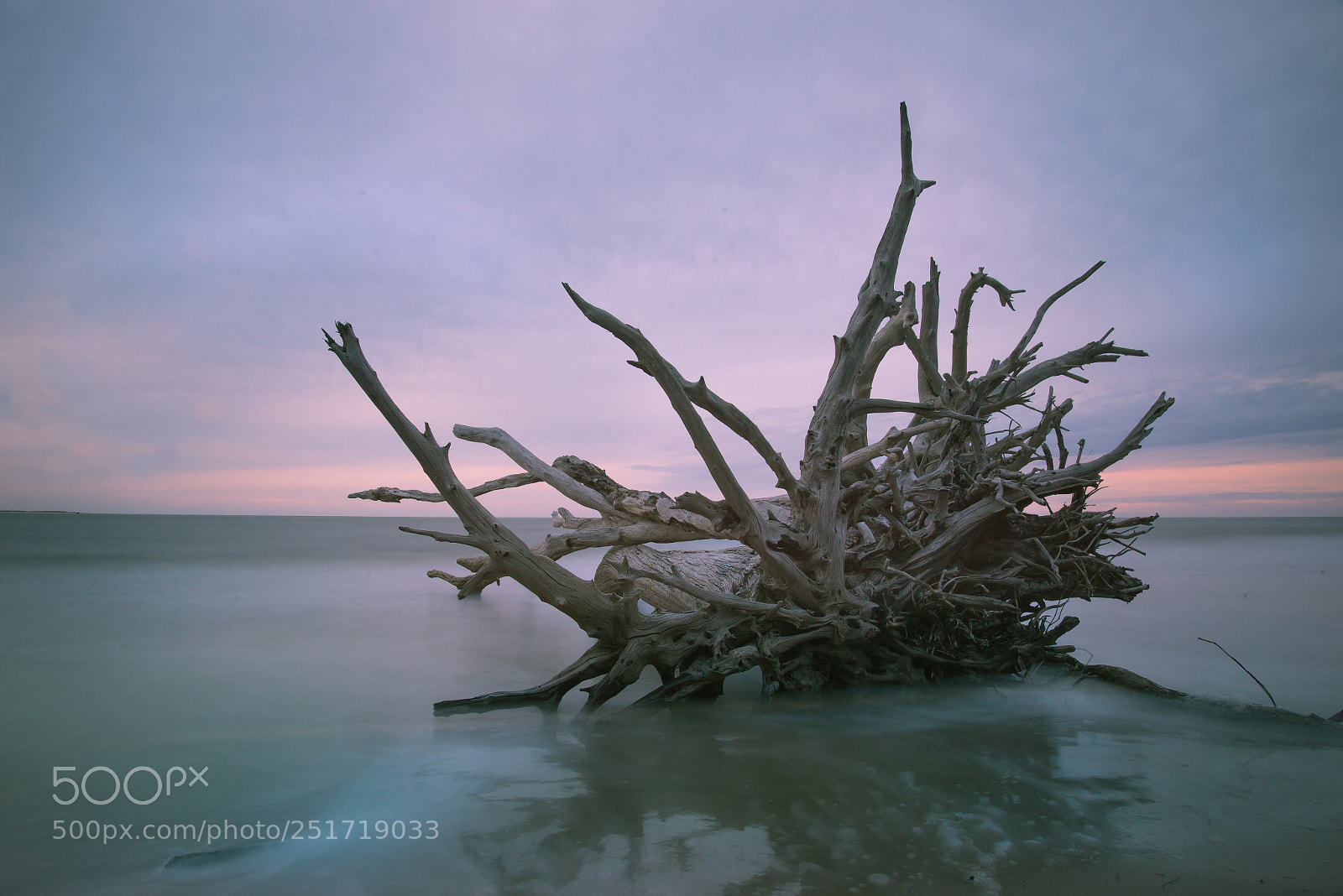 Nikon D600 sample photo. Adrift  photography