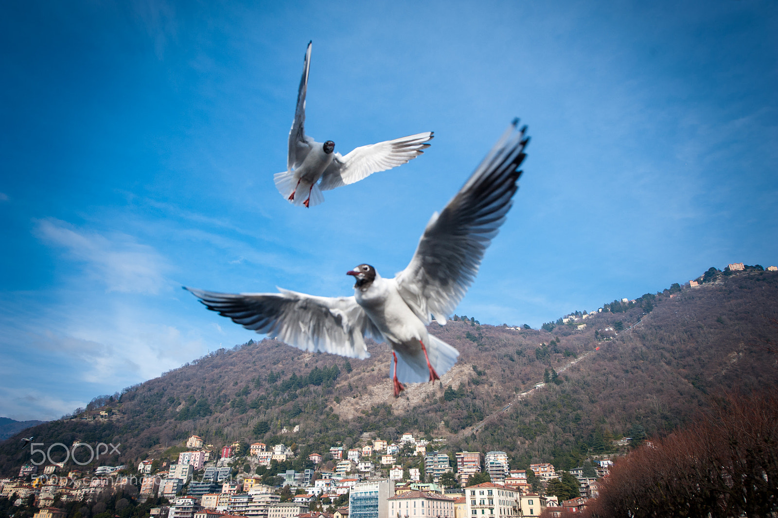 Nikon D700 sample photo. Volare photography