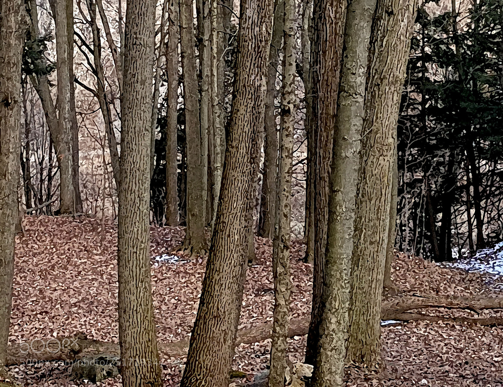 Samsung Galaxy S7 sample photo. Ravine lighten photography