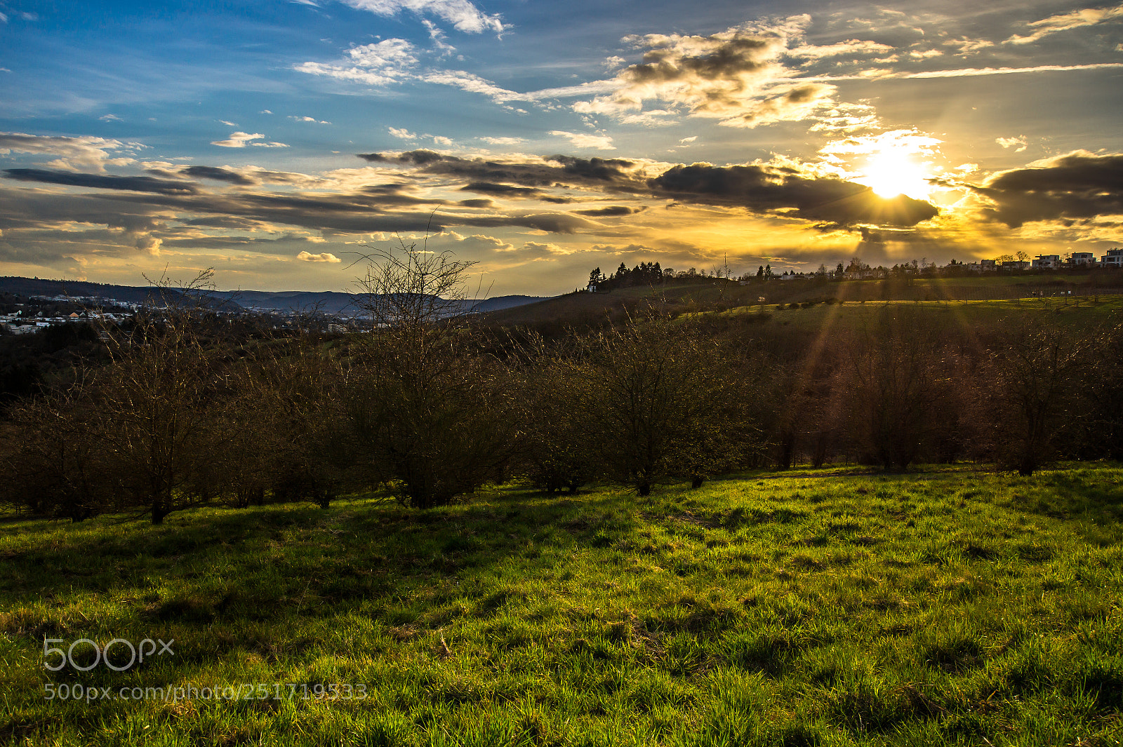 Sony SLT-A58 sample photo. First rays of spring photography