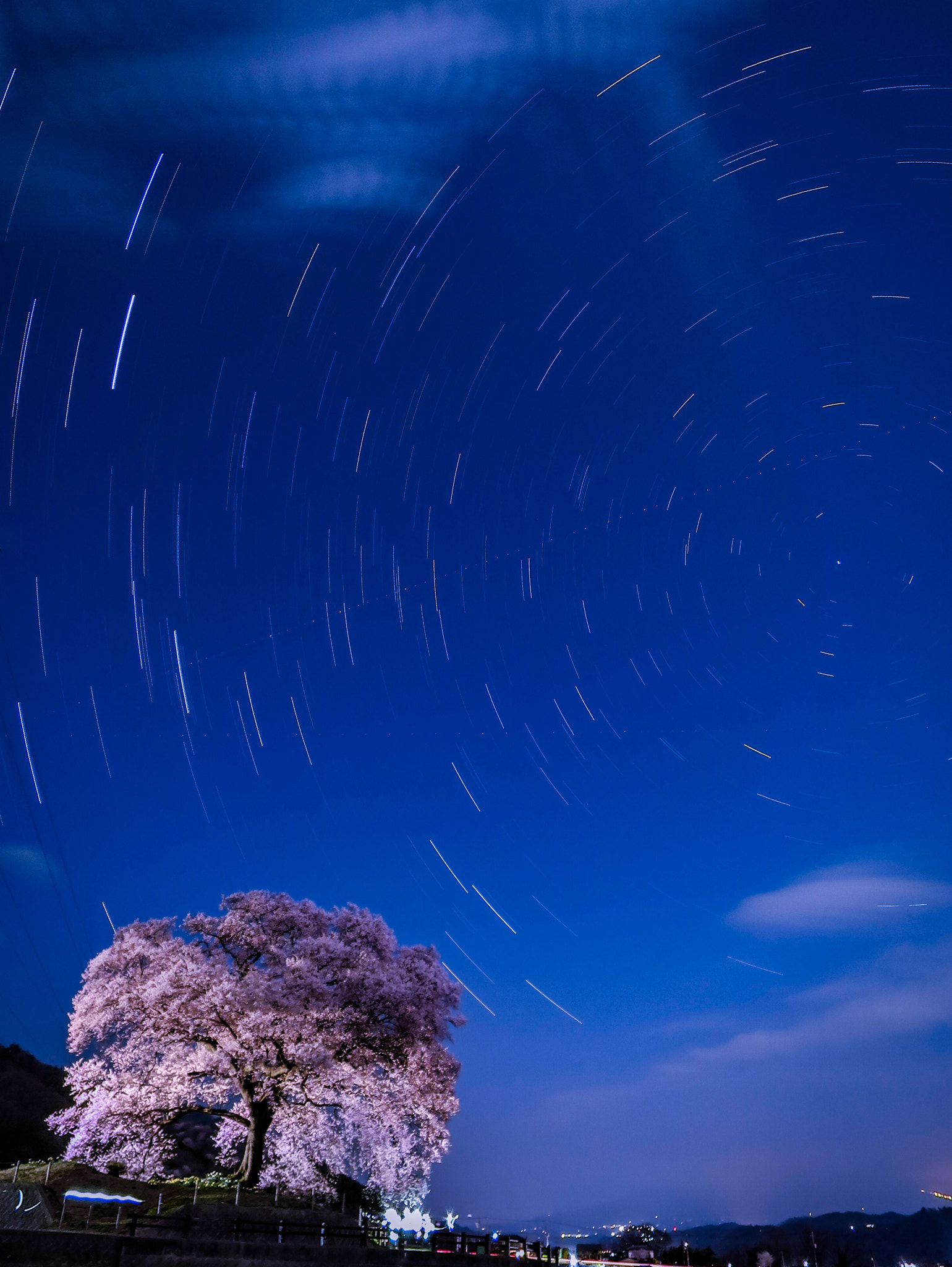 Canon PowerShot S120 sample photo. Cherry blossoms in full bloom and trace of stars photography