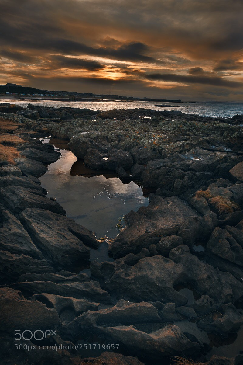 Fujifilm X-T2 sample photo. Puddle in the sunset  photography