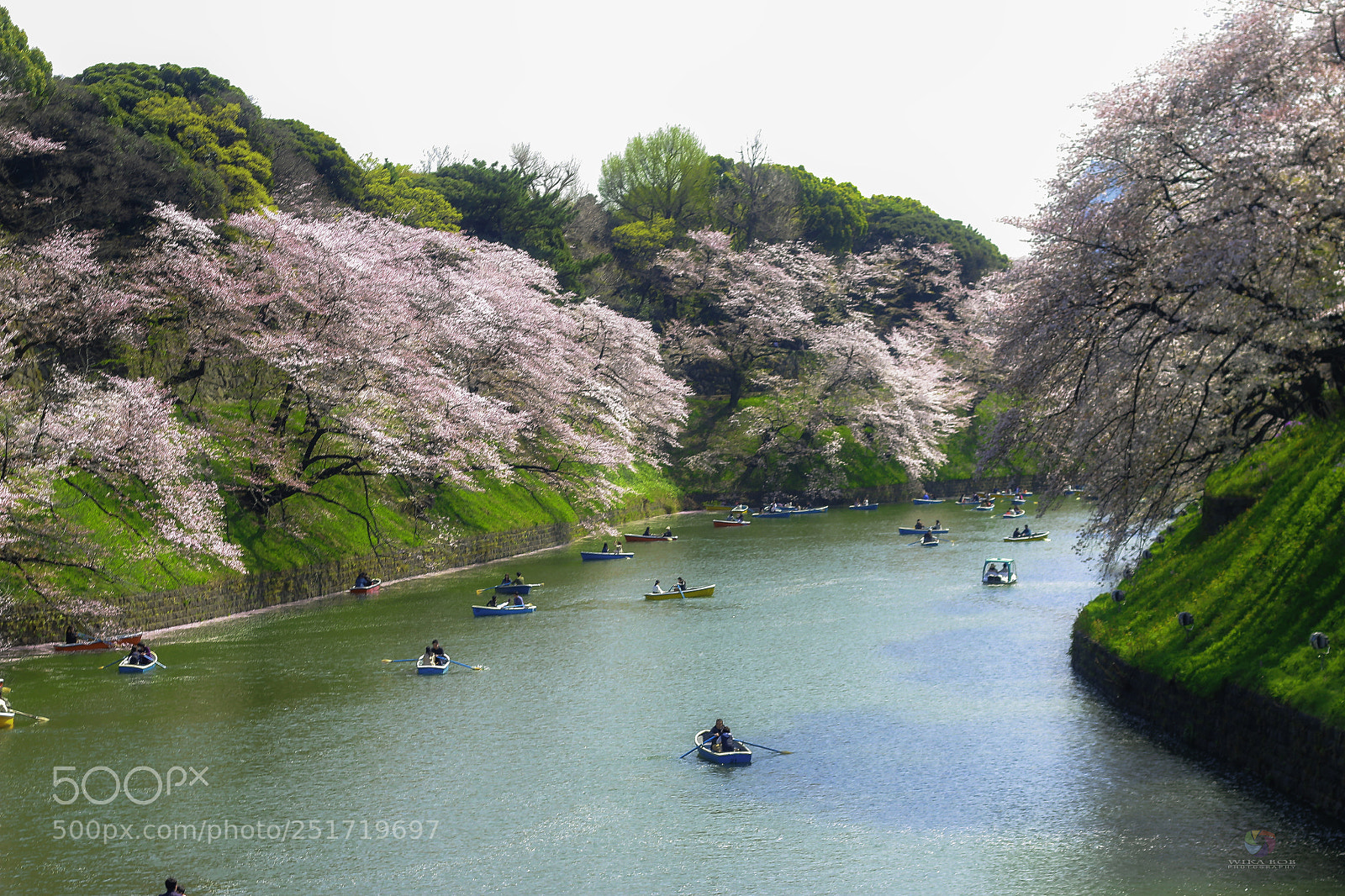 Canon EOS 70D sample photo. Sakura and boat photography