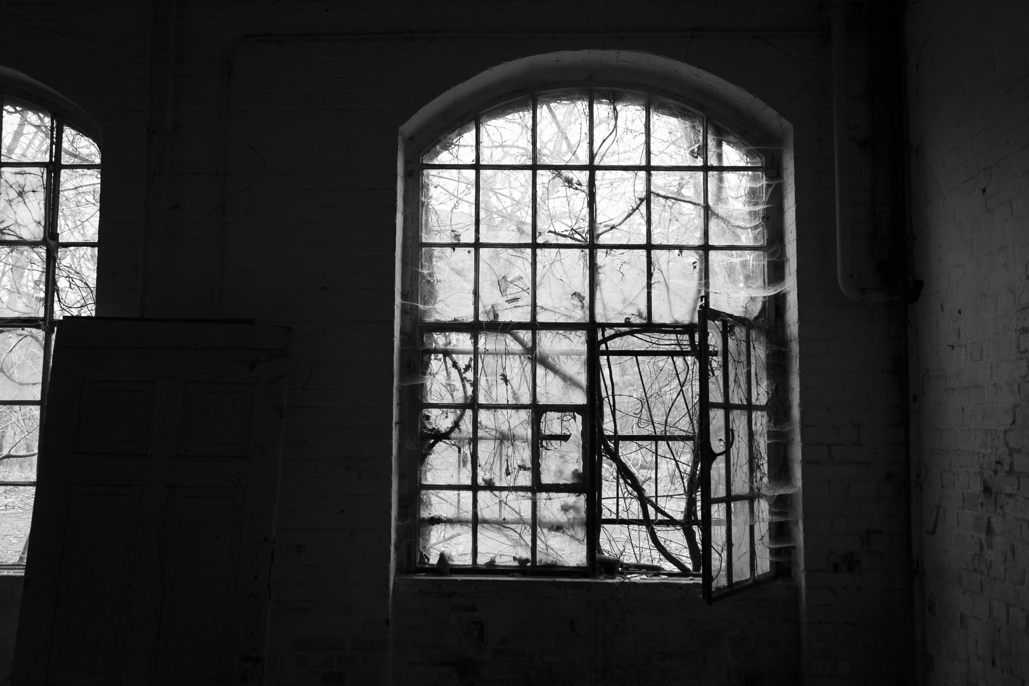 Abandoned Psychiatry