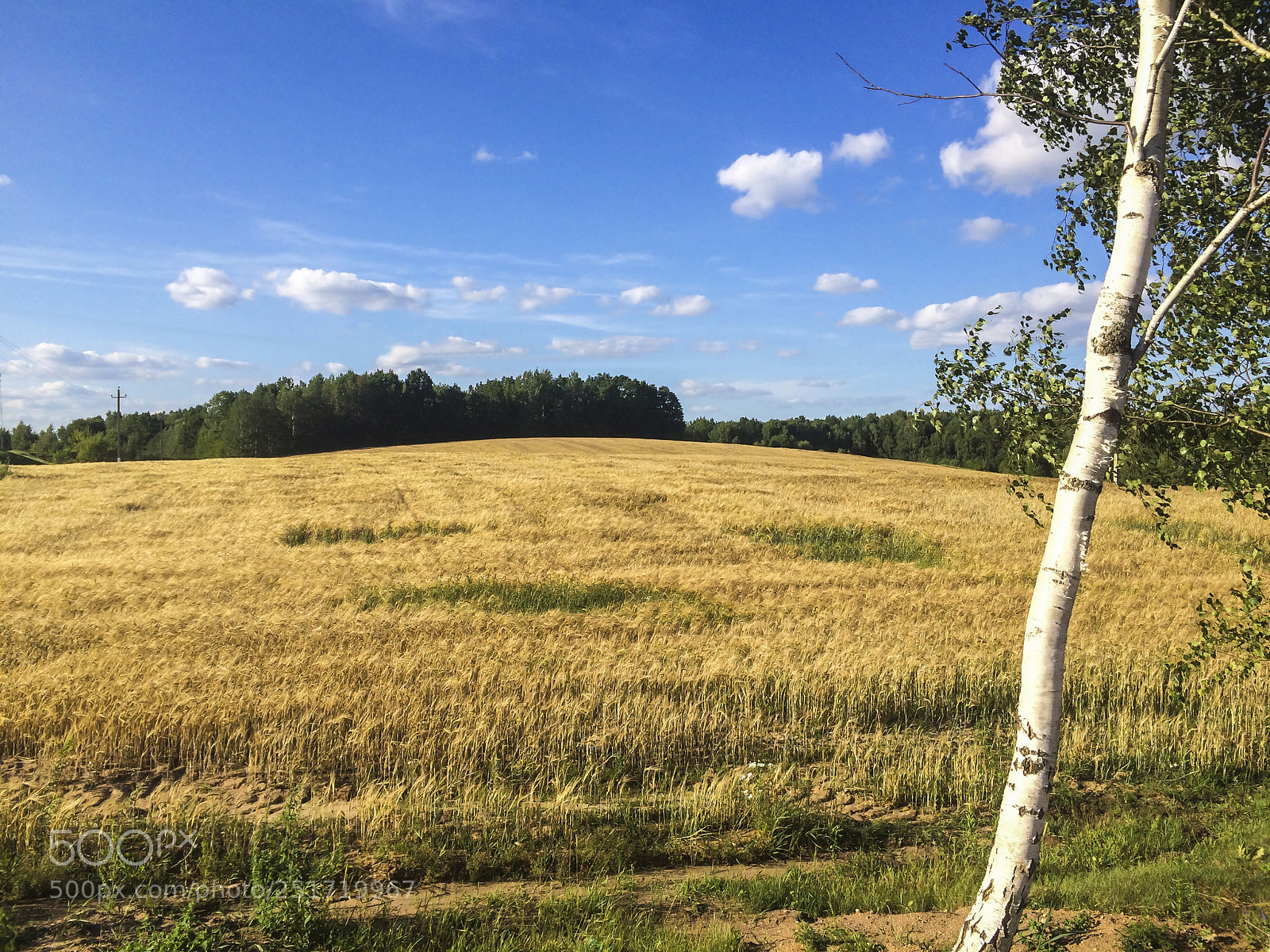 Apple iPhone 5s sample photo. A field of wheat photography