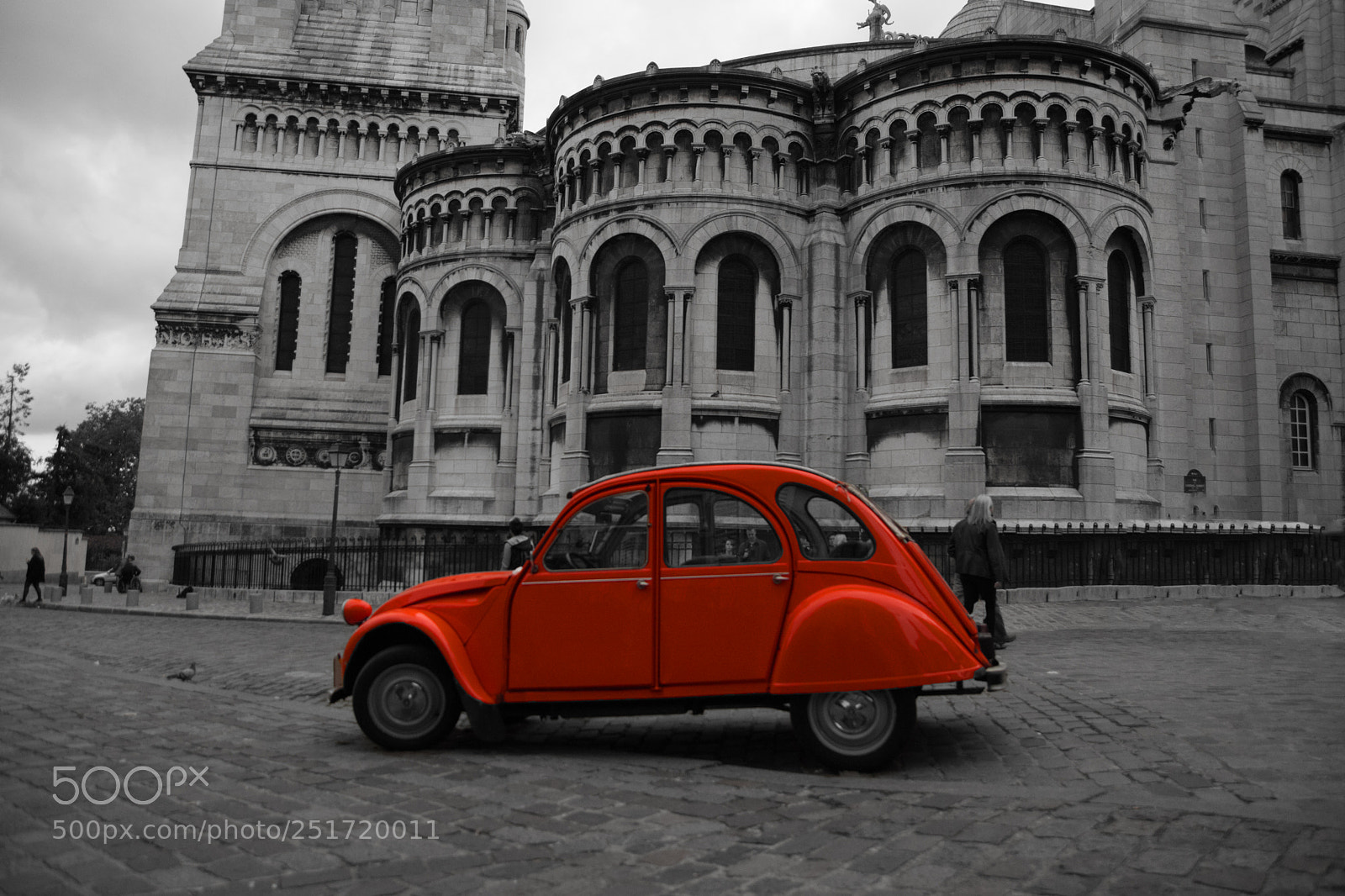 Nikon D7100 sample photo. Pariser erpel photography