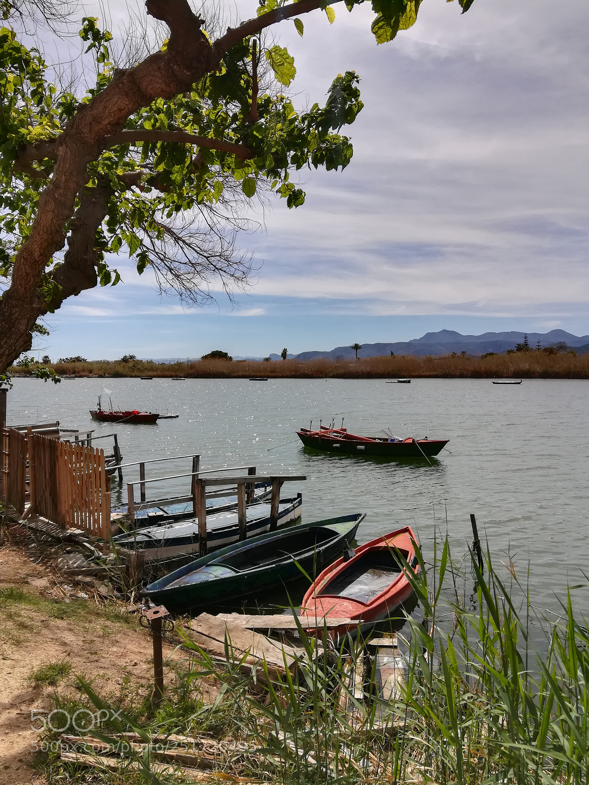 HUAWEI honor 6x sample photo. L'estany photography