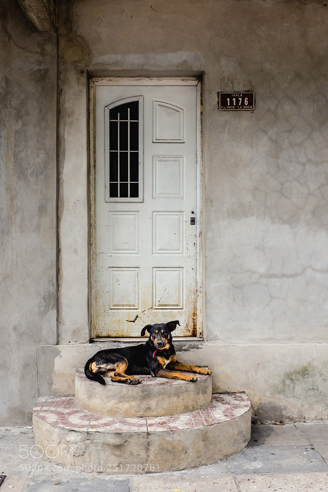 Fujifilm X100T sample photo. On guard photography