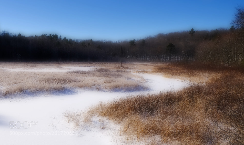 Fujifilm X-E3 sample photo. Swamportoneffect photography