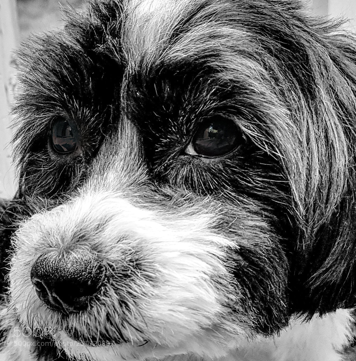 Samsung Galaxy S7 Edge sample photo. Loki photography