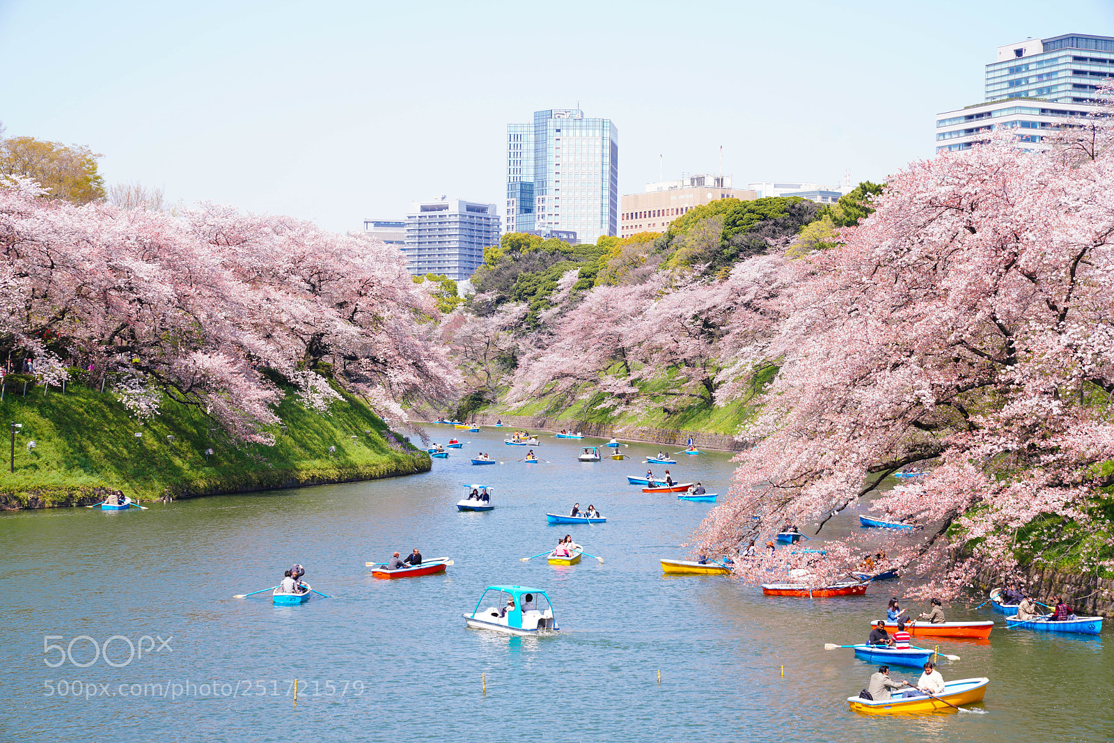 Sony a7R III sample photo. Sakura tokyo photography