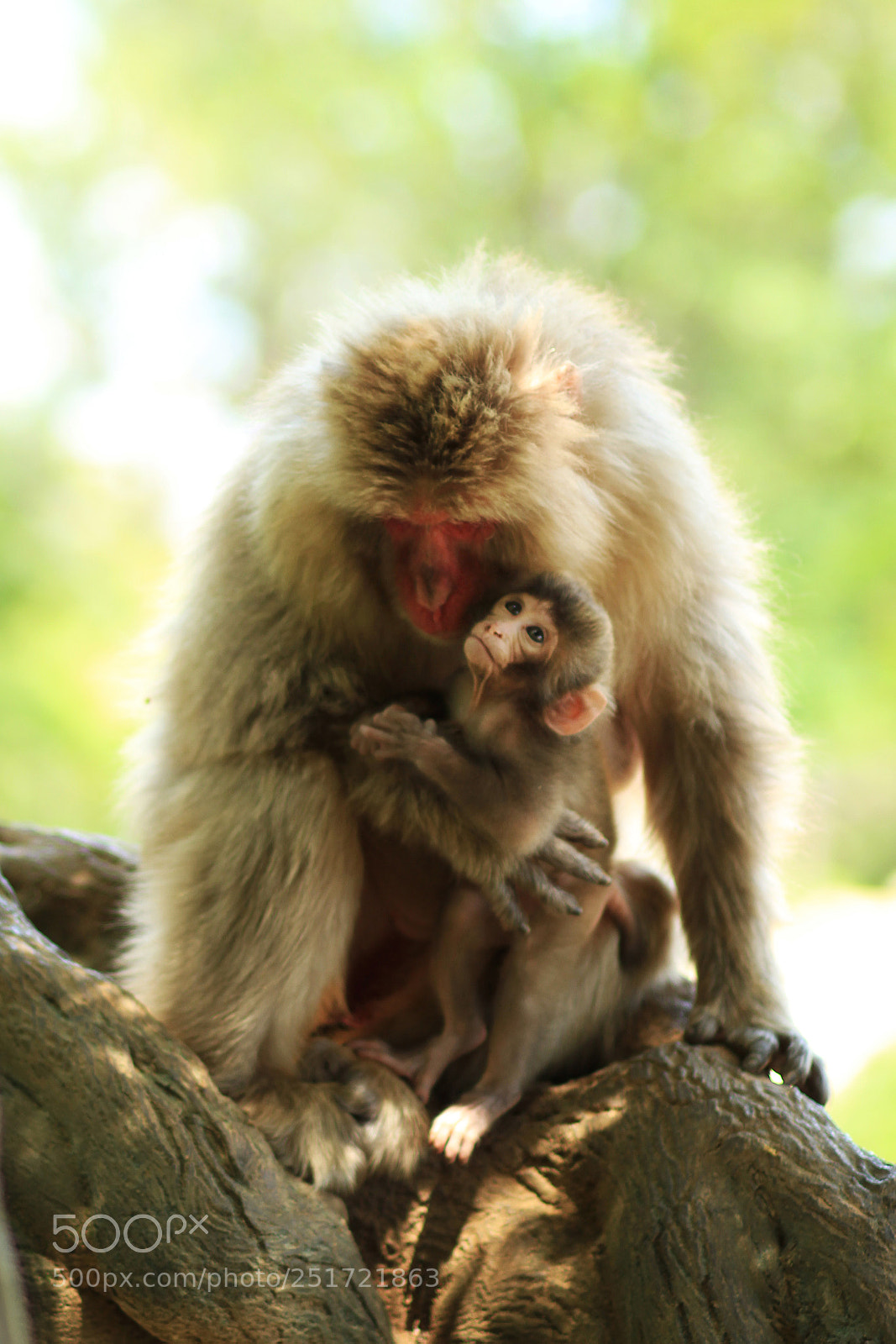 Canon EOS 7D sample photo. Mother and her baby photography