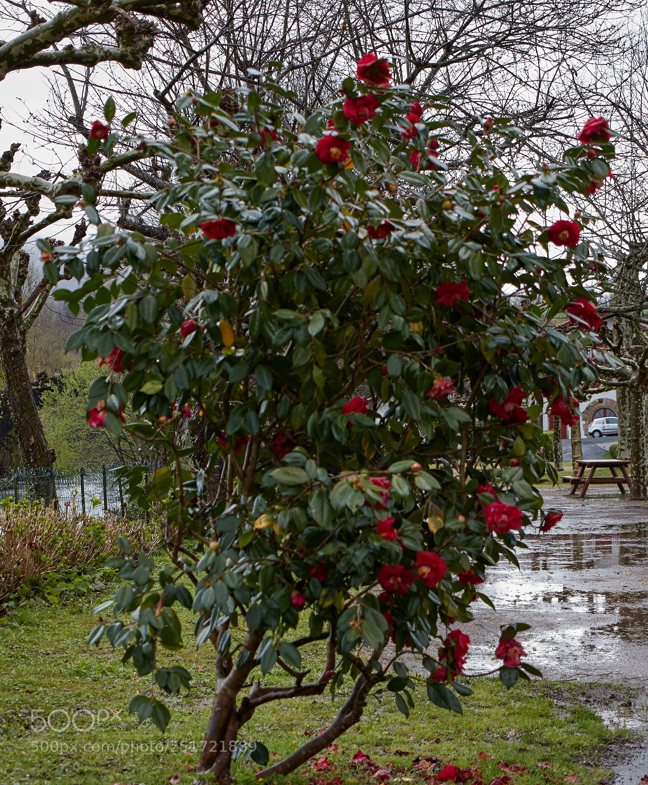 Canon EOS 77D (EOS 9000D / EOS 770D) sample photo. Saint etienne de baigorry photography